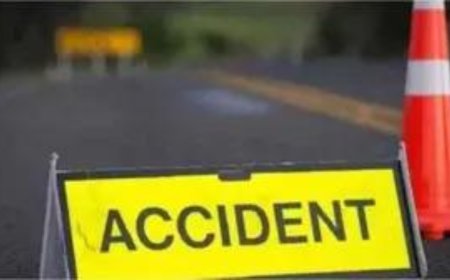 Fog-induced crashes claim 8: Five tourists in Punjab, 3 labourers in UP