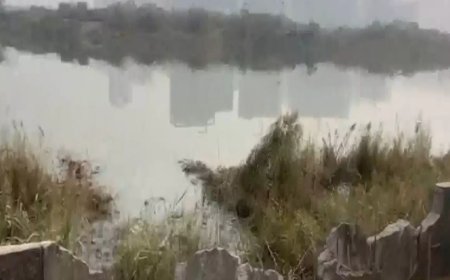 Noida techie's death: FIR lodged against two builders; family alleges negligence over lack of barricades