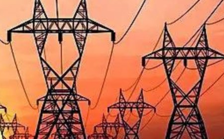 Driven by state-run utilities, distribution companies post Rs 2,700cr profit