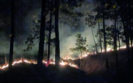 When winter burns: Uttarakhand to Kashmir, Himalayan forests are catching fire out of season