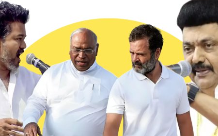 DMK or TVK? Decoding Congress's alliance dilemma ahead of Tamil Nadu assembly elections