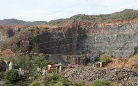 Govt notifies rules for use of Environmental (Protection) Fund