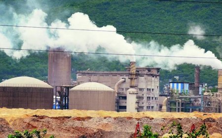 Govt brings 4 more sectors under GHG emissions cut regime