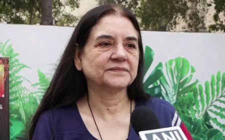 'Committed contempt': SC criticises Maneka Gandhi on remarks on stray dogs order; asks what 'budgetary allocation' helped with