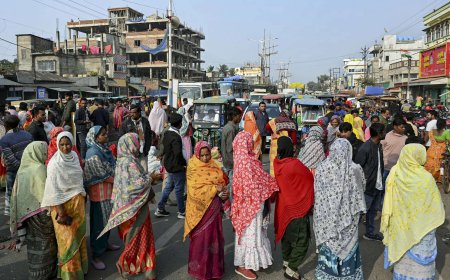 SIR 'harassment': West Bengal districts erupt in protest; forces deployed