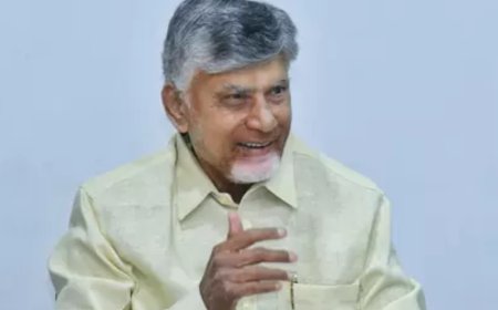CM Naidu 'misused' Davos visit for political gains: YSRCP leader