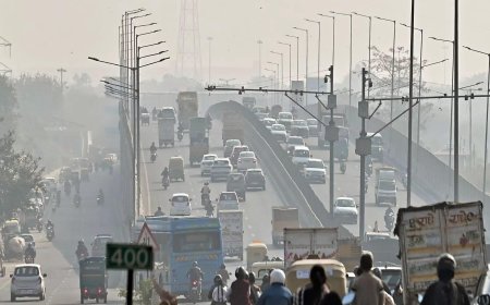 Delhi government to construct six lane elevated road in South Delhi at a cost of over Rs 1400 cr