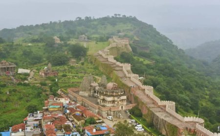 Area around Kumbhalgarh wildlife sanctuary declared eco-sensitive zone