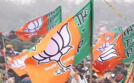 Voluntary contributions to BJP up 54% to Rs 6,125cr in 2024-25