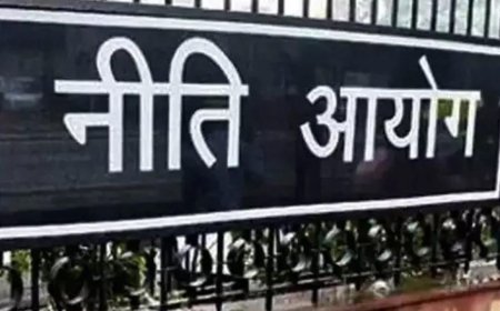 Eyeing net zero future, Niti Aayog releases roadmaps for decarbonisation of aluminium, cement, MSME sectors