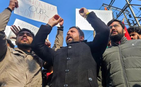 Jammu and Kashmir: Probe ordered into college student’s suicide in Doda, professor suspended