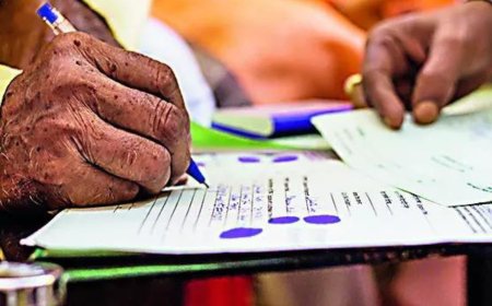 Census to count ‘near endangered’ Kashmir Markhor population to begin in Feb