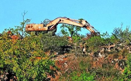 SC to set up expert panel on Aravalis, tells states to stop illegal mining 'at all costs'