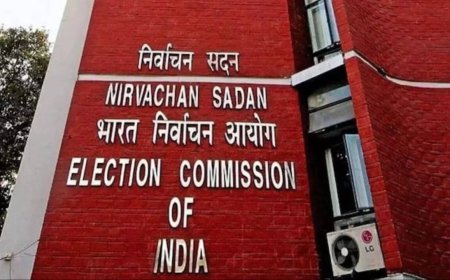 'Roving and fishing enquiry': Election Commission defends SIR in Supreme Court —what it said