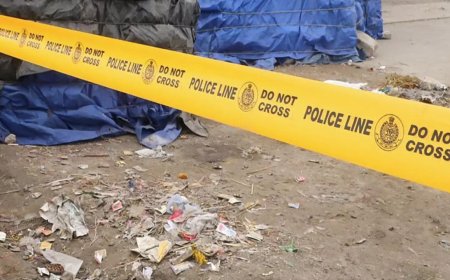 What's cooking in this kitchen? Just synthetic drugs like MDMA