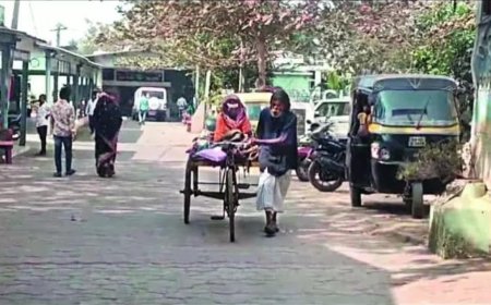 Ailing wife in rickshaw van, 70-yr-old in Odisha cycles 600km to hospital &amp; back