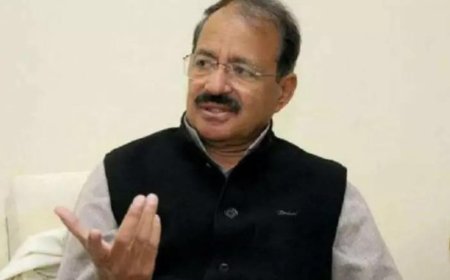 'Where can they go?': After Shakeel Ahmed, Rashid Alvi flags 'communication gap' within Congress