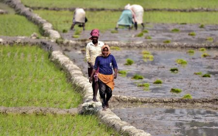 Agriculture scientists and innovative farmers get Padma Shri boost for their pioneering efforts