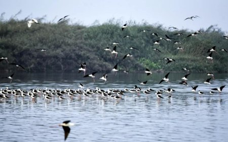 Decline of Himalayan rivers could trigger nuclear war: UK report