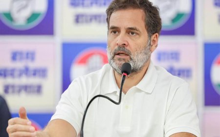 Rahul seeks early start to talks on TN seat sharing as Kanimozhi calls on him