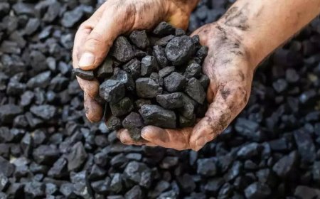 Coal to anchor India’s energy transition amid surging power demand