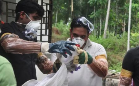 ‘Low risk, travel curbs not needed’: WHO assesses Nipah virus cases in India