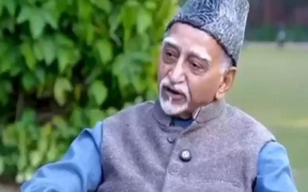 'Whitewashing brutal invasions': BJP on ex-VP Hamid Ansari calling Mahmud of Ghazni 'Indian'