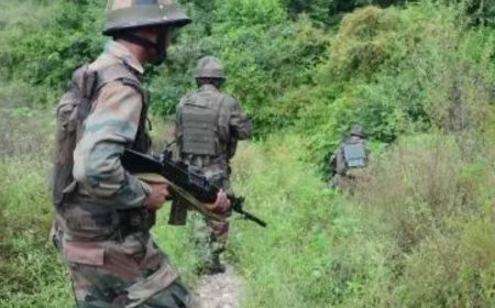 Operation Trashi-I Day 14: Security forces 're-establish' contact with terrorists in J&amp;K's Dolgam