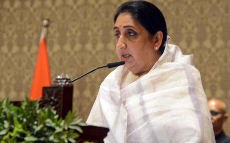 Green warrior to deputy CM: Sunetra Pawar steps into Maharashtra power vacuum