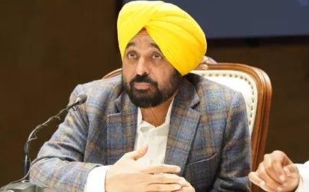 South Korean delegation meets Punjab CM