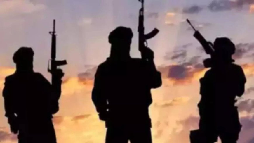 J&amp;K: Police attach property of Pak-based handler in Poonch; UAPA invoked