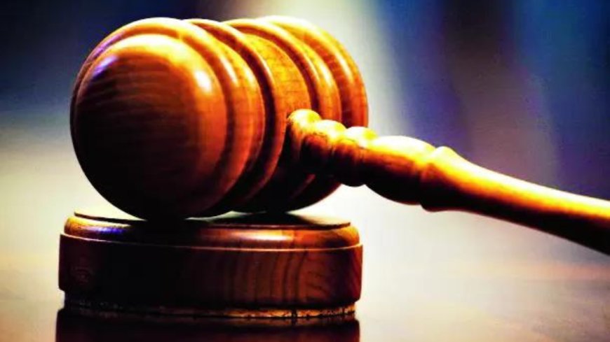 Chandigarh: Sponsoring terror ‘expensive affair’, says HC, junks bail plea in narco-terrorism case