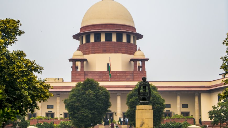 'Not only dog bites': SC flags road accidents due to strays; highlights civic lapses, warns states