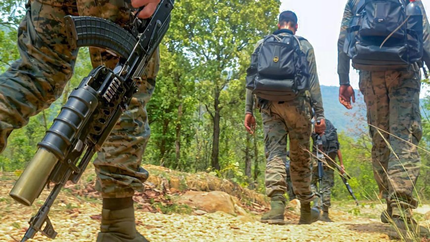 Jammu and Kashmir: Encounter breaks out between security forces and terrorists in Kathua; operation under way