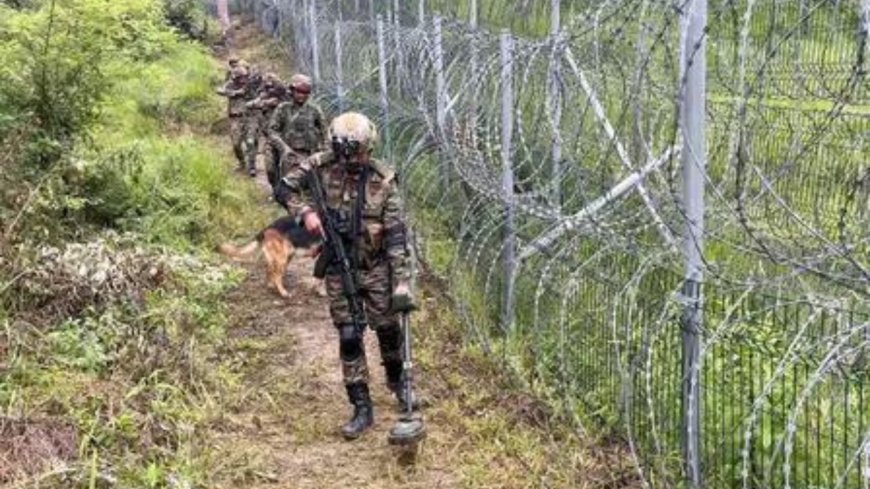 Gunshots heard during search op in Kathua; drones spotted in Rajouri