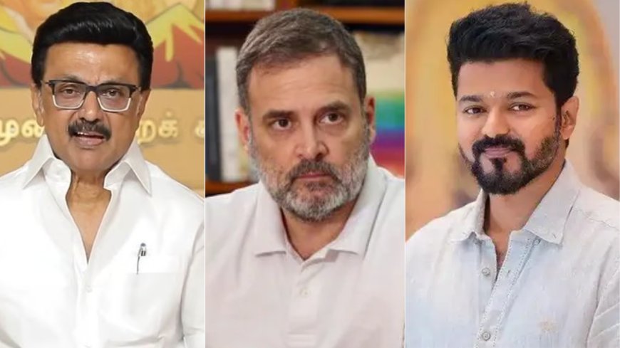 Rahul Gandhi’s support for Vijay’s "Jana Nayagan": Message to DMK or push for new coalition with TVK in Tamil Nadu?