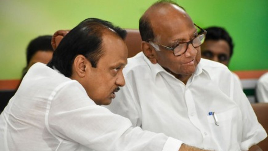 PCMC Election Results 2026: Pawars fail to deliver in Pimpri-Chinchwad, Pune; BJP takes major lead