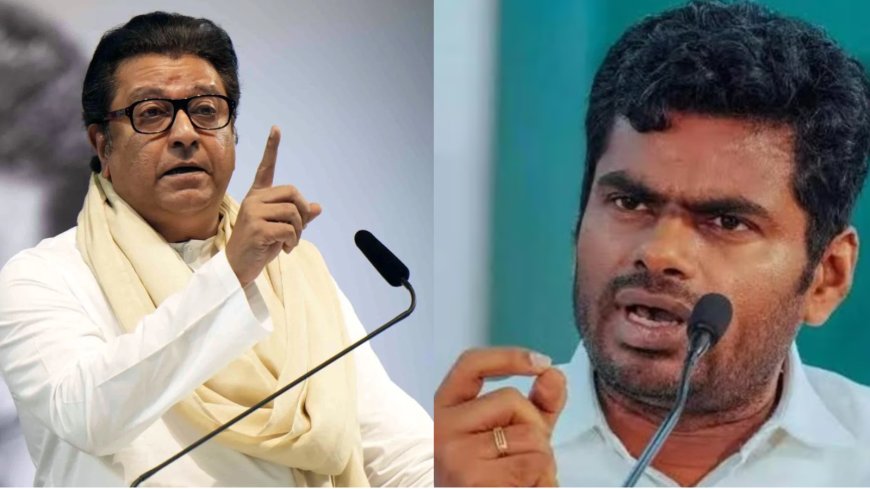 BMC election results 2026: BJP trolls Raj Thackeray with 'rasmalai'; Annamalai says Mumbaikars chose substance over divisiveness