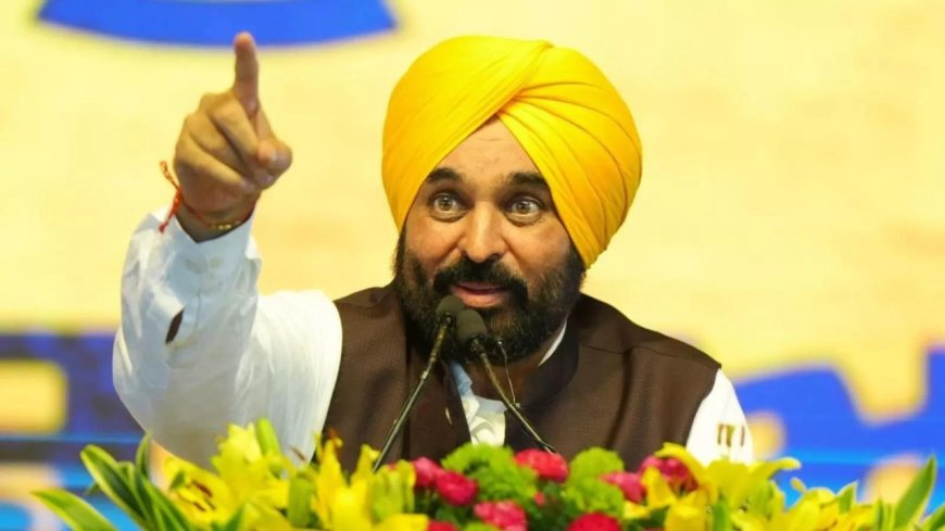 Big relief for Punjab's farmers as Centre has agreed to shift border fence closer to IB: CM Mann