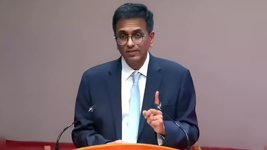 'Fancy words': Congress spokesperson on ex-CJI Chandrachud's 'bail should be rule' remark; BJP reacts