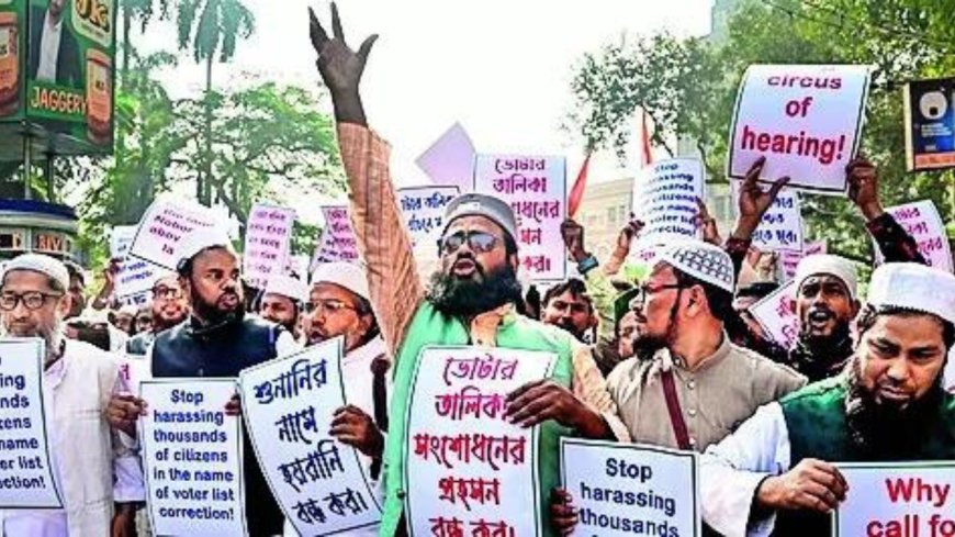 1 man listed as dad of 389, another of 310: SIR detected WB errors, says EC