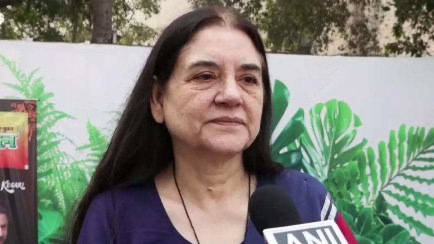 'Committed contempt': SC criticises Maneka Gandhi on remarks on stray dogs order; and makes a 'Kasab' reference