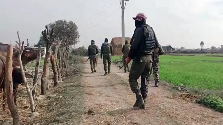 Op Trashi-I Day 5: Gunfight erupts in Singhpora; searches continue