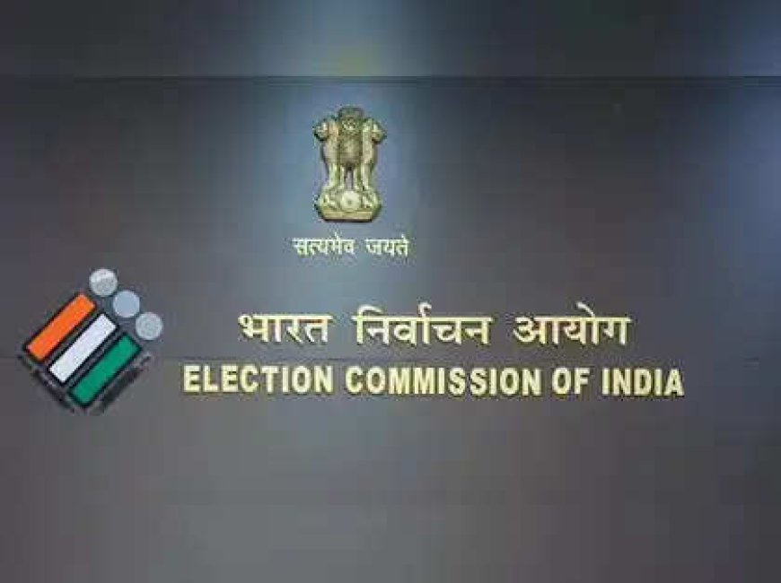 Electoral roll preparation: BLOs to be suspended in cases of misconduct, says ECI