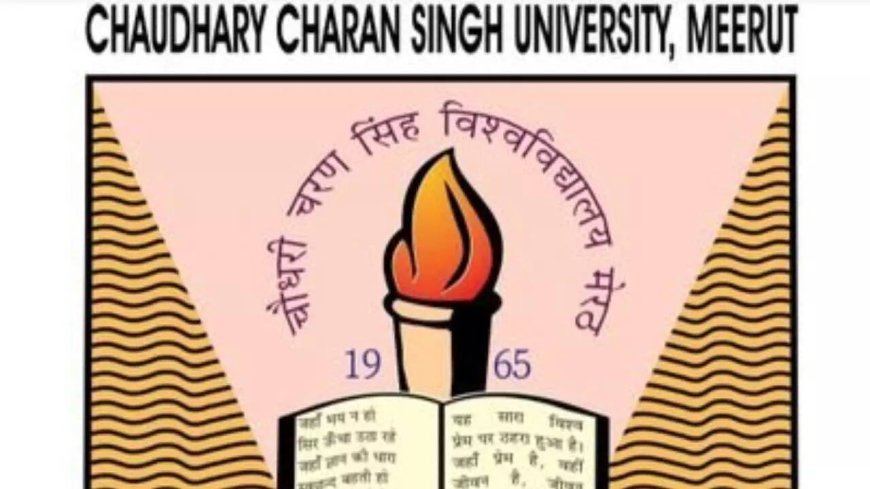 India pilots first AI-enabled university at Meerut’s CCSU with Google Cloud