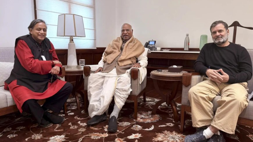 'Strong voice against communalism': Shashi Tharoor praises Rahul Gandhi; what he said on differences with party