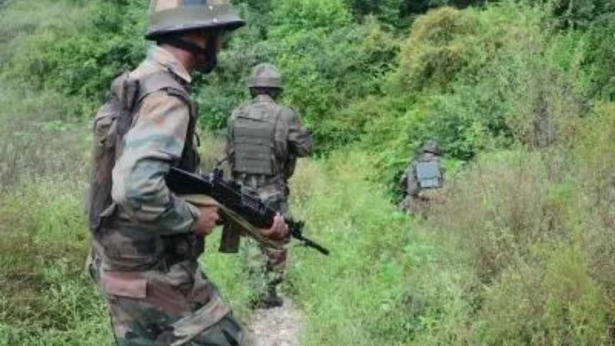 Operation Trashi-I Day 14: Security forces 're-establish' contact with terrorists in J&amp;K's Dolgam