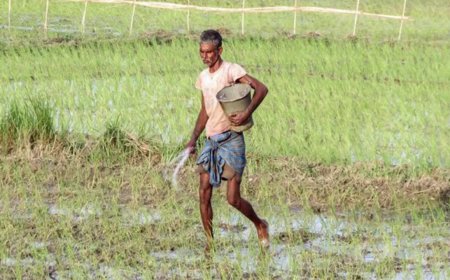 Slightly warm and dry Feb may impact Rabi crops, IMD predicts while releasing monthly temp and rainfall outlook