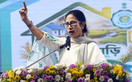 Mamata Banerjee moves Supreme Court against Bengal SIR; Election Commission and state poll body made parties in case
