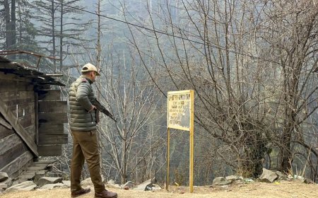 Hunt for ultras intensified on Day 15 of Op Trashi-I